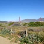photo_6